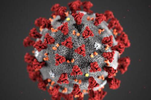 Coronavirus (COVID-19): Information and Impact Coronavirus (COVID-19): Information and Impact